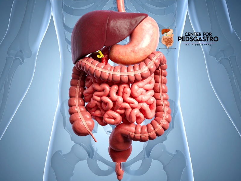 Kids Digestive Health Doctor in Gurgaon providing expert pediatric gastroenterology care for children with digestive health issues